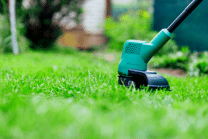 tondre le pelouse