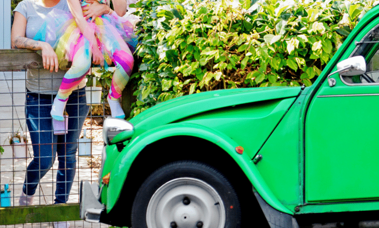 Voiture devant portail