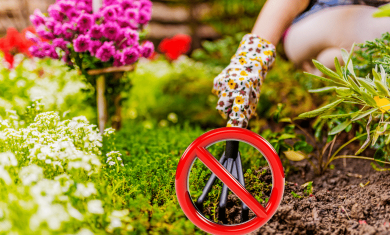 a ne pas faire au jardin