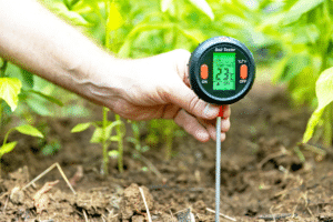 gérer les pics de température au potager