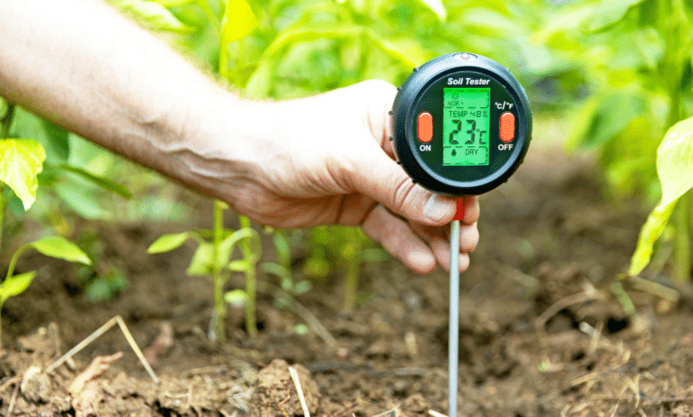 gérer les pics de température au potager