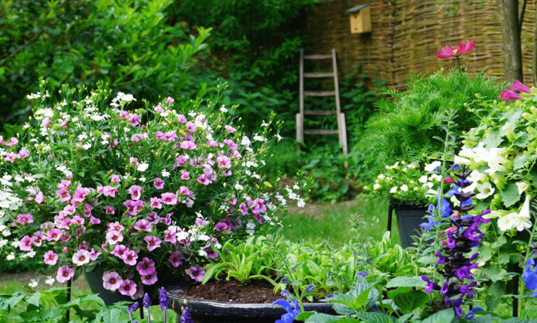 beau jardin
