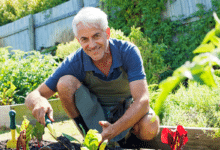 Homme plantant des légumes.