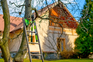 Matériel nécessaire pour une taille efficace