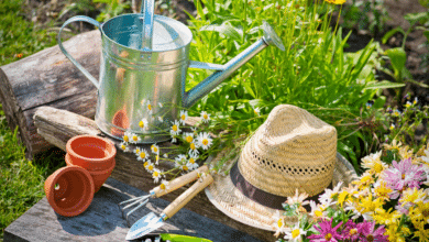 travaux au jardin