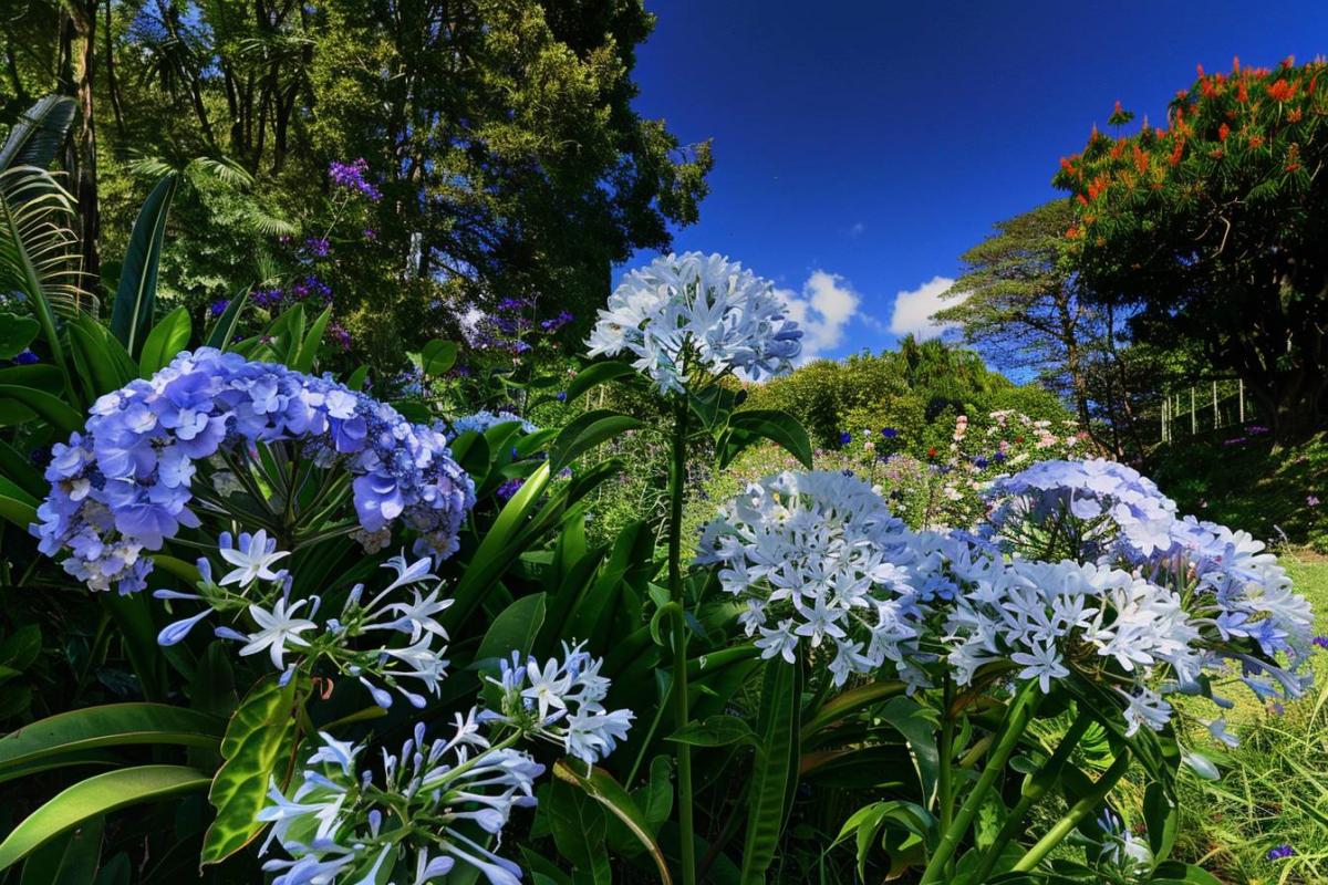 Évitez cette erreur courante dans le placement de vos hortensias