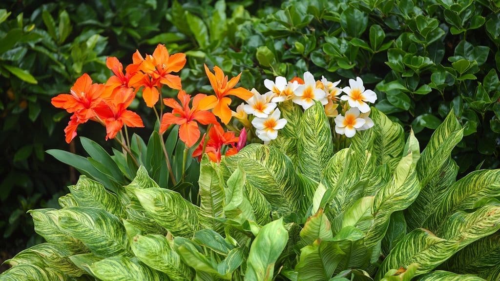 Associer ces arbustes à d’autres plantes