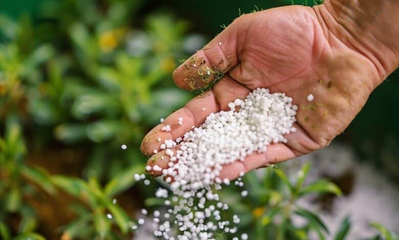Ce que personne ne vous dit : ce produit courant vaut mieux que le marc de café au potager
