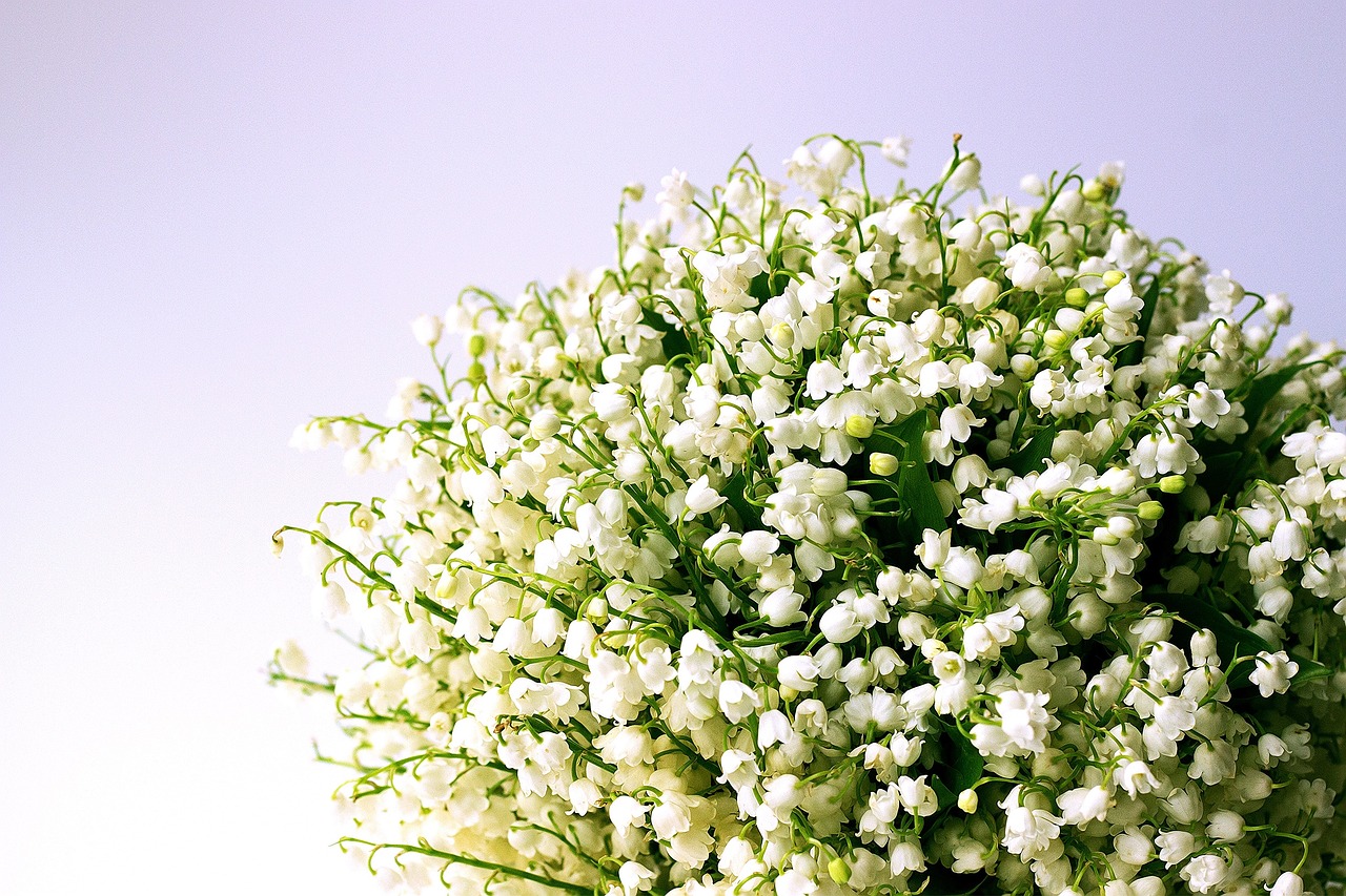 Le muguet dans la culture populaire