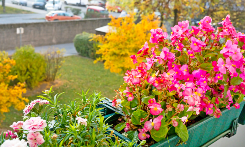 balcon fleuri