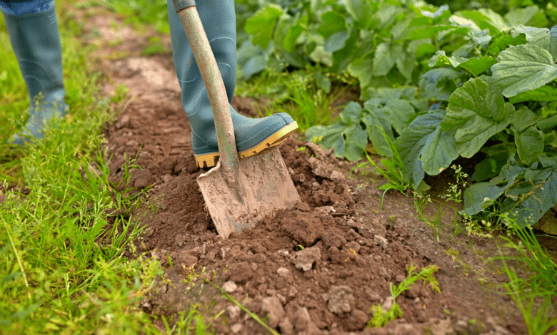 Sol lourd, compacté ? Ce réflexe d’avril rend la terre plus souple et agréable à cultiver