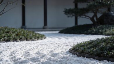 Jardin minimaliste avec parterre de graviers blancs