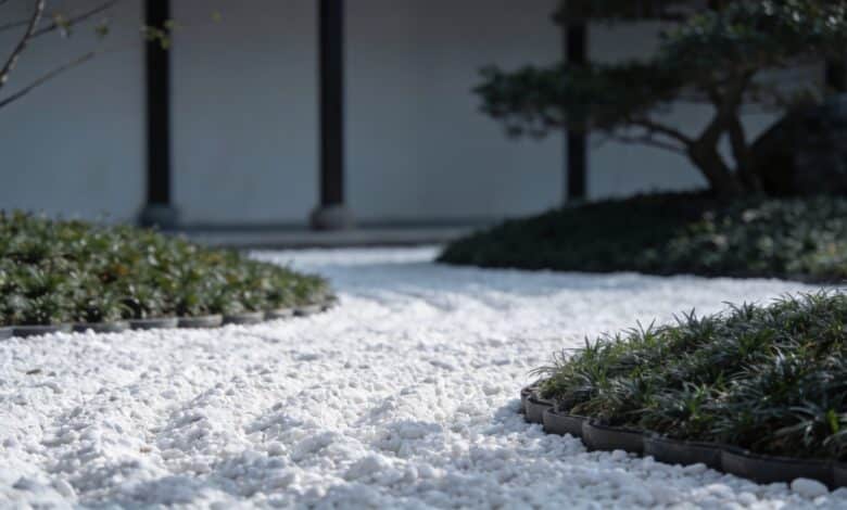 Jardin minimaliste avec parterre de graviers blancs