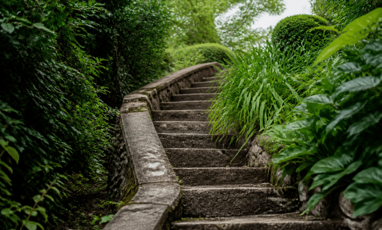 Escalier exterieur montant fortement dans jardin vert