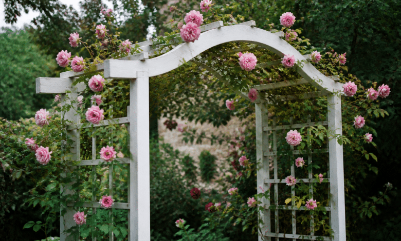 Jardin avec roses grimpantes sur portique en bois blanc
