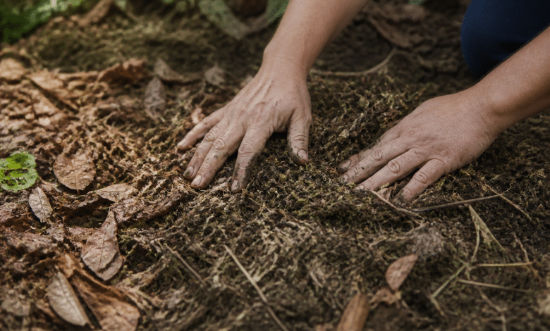 Mains etalant feuilles mortes et branches broyees sur sol