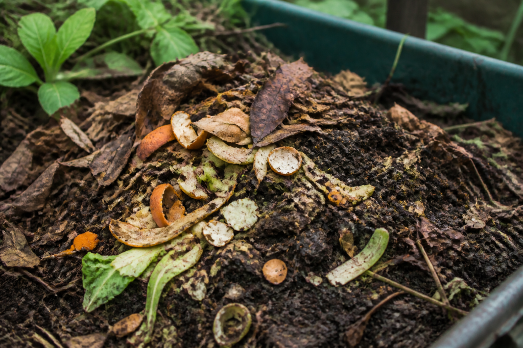 Tas de compost avec eплuchures cafe feuilles mortes