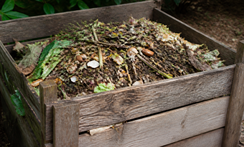 Compost organiques empiles dans un bac ouvert en bois