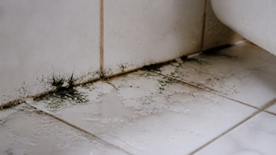 Traces noires et vertes s'etendant sur carrelage blanc humide salle bain