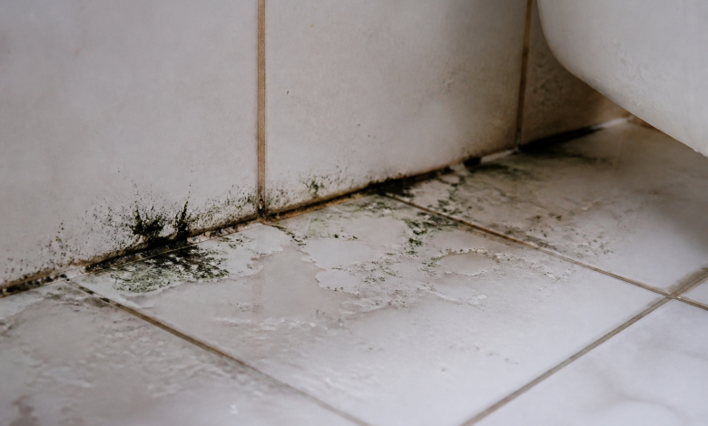 Traces noires et vertes s'etendant sur carrelage blanc humide salle bain