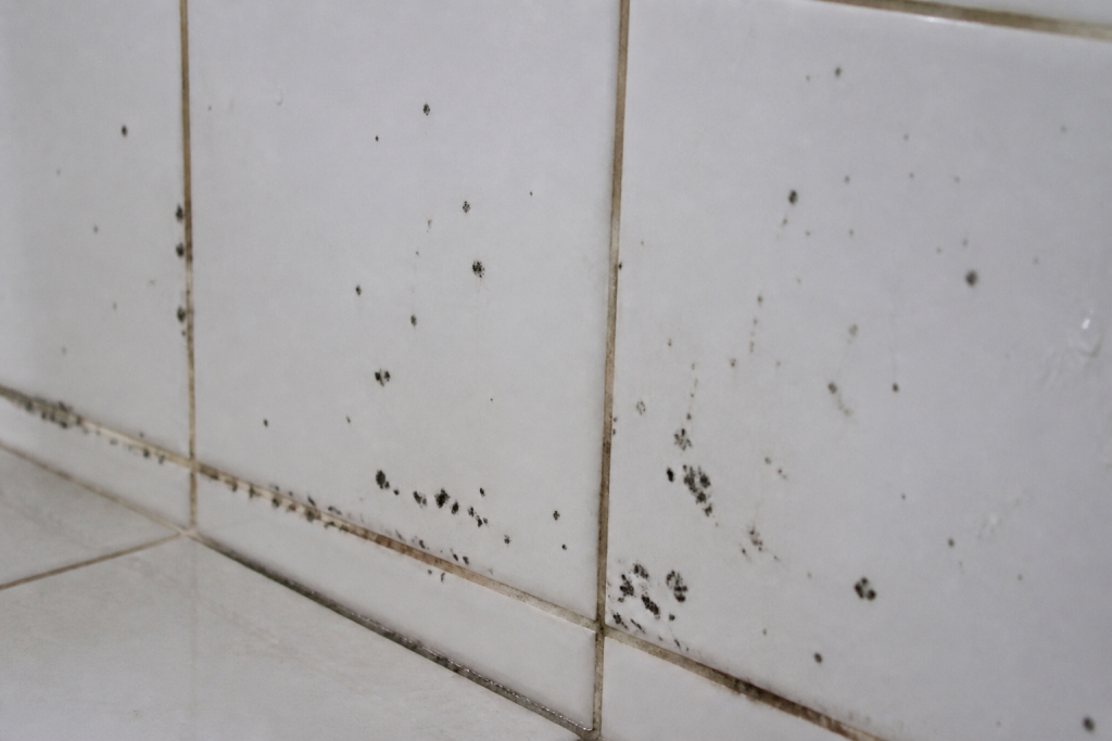 Taches noires de moisissure sur carrelage blanc humide