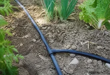 Tuyaux noirs connectes au sol dans jardin potager