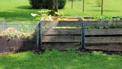 Éloignez les rats de votre compost : 10 astuces simples et naturelles à adopter !