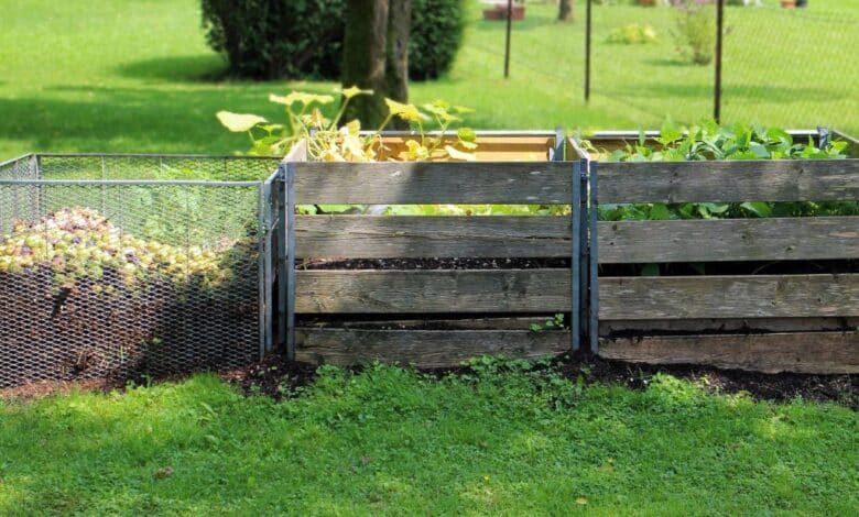 Éloignez les rats de votre compost : 10 astuces simples et naturelles à adopter !