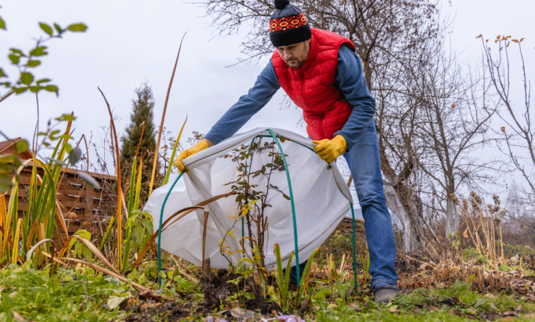protections hivernales de vos plantes